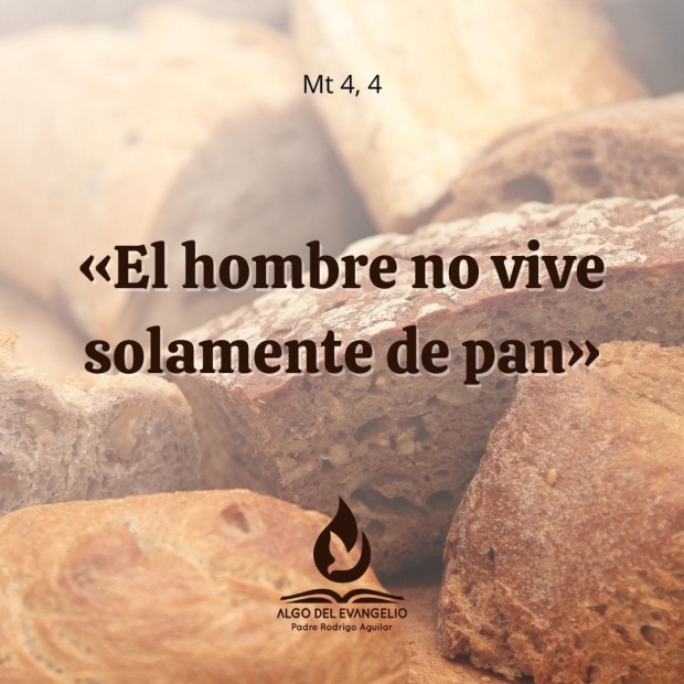 Evangelio 26 Feb. 2023