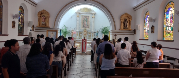 Renueva tu vida en Cristo a trav�s del Bautismo/ Bautizo para adultos 