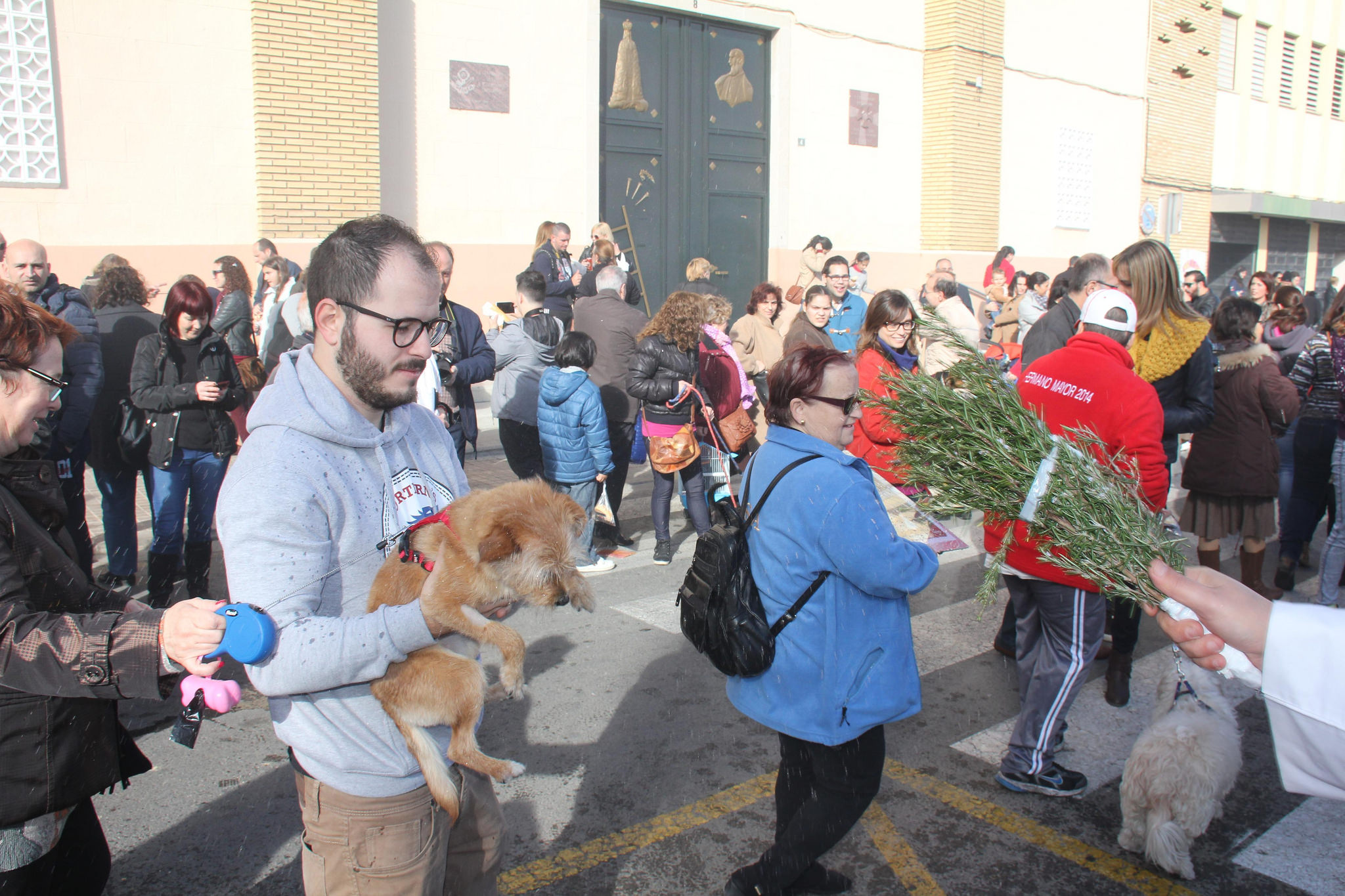 Bendicin de animales de Torrent en la puerta de nuestra Parroquia