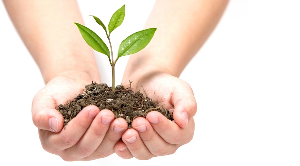 5 da del Tiempo de la Creacin