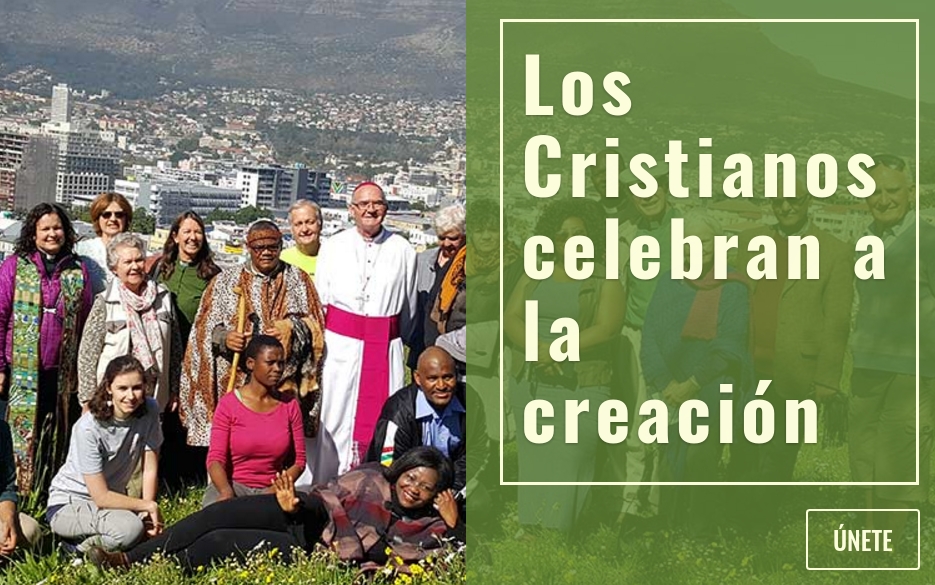 8 da del Tiempo de la Creacin