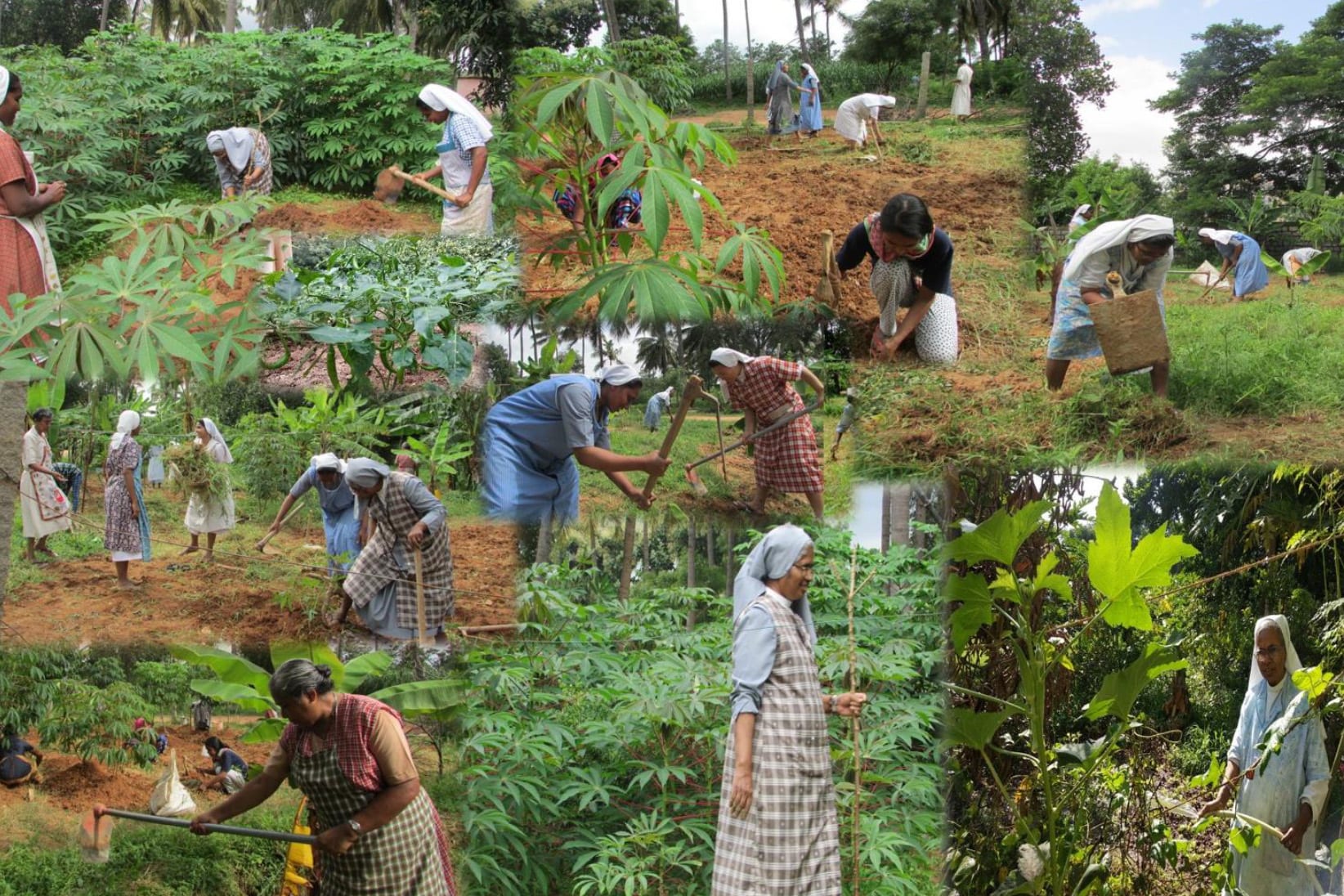 13er da del Tiempo de la Creacin