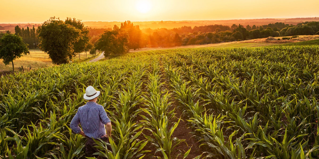 23 da del Tiempo de la Creacin