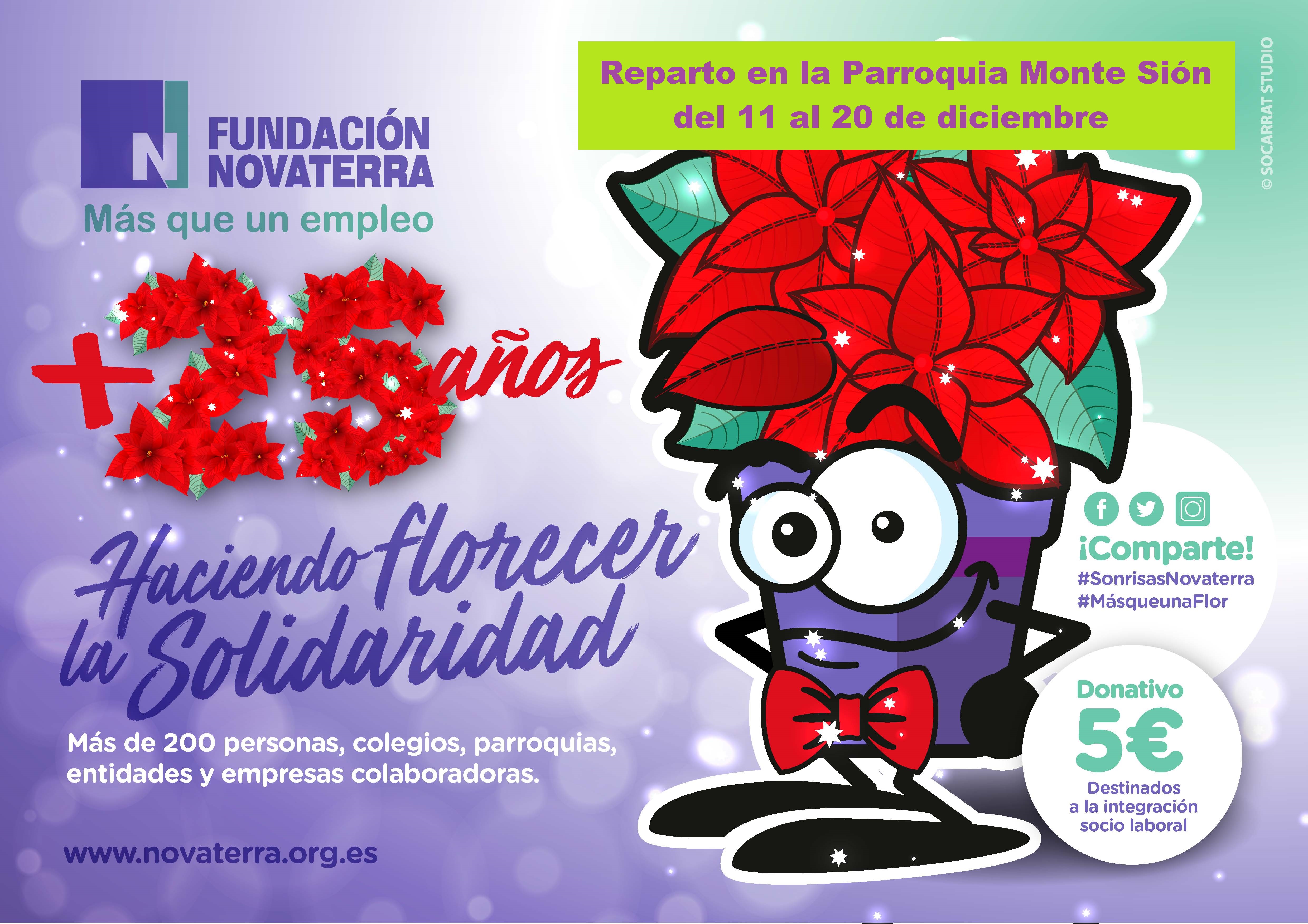 Consigue tu flor de pascua de Novaterra