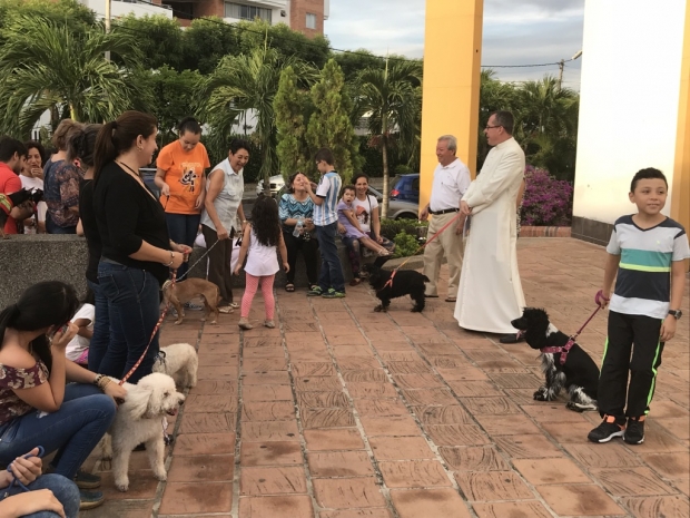 BENDICION DE MASCOTAS