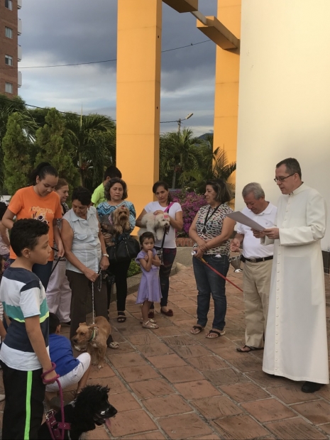 BENDICION DE MASCOTAS