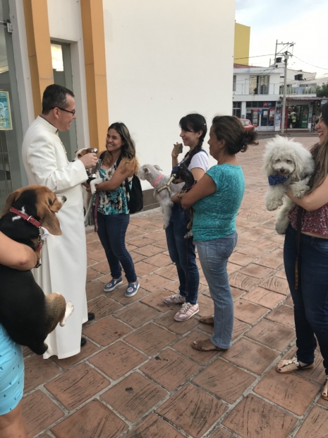 BENDICION DE MASCOTAS