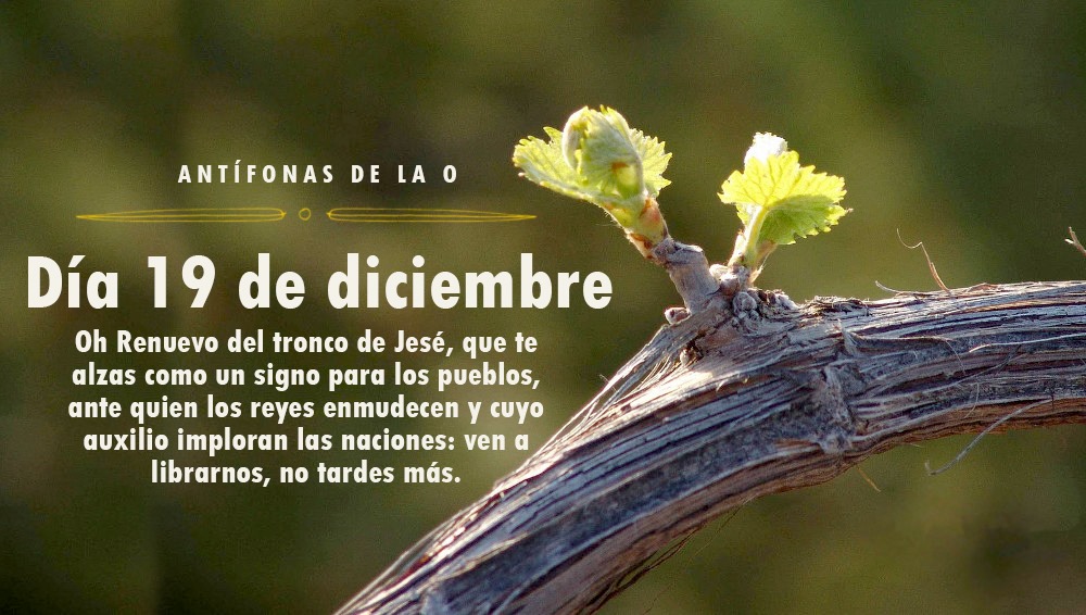 TERCERA ANT�FONA DE LA 