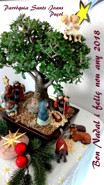 FELICITACIN DE NAVIDAD