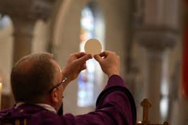 Para celebrar el II Domingo del Tiempo Ordinario (18-01-2026)