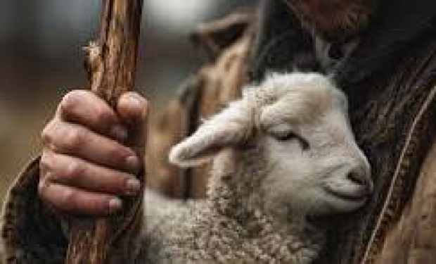 Para vivir el V Domingo de Pascua (03-05-2026)