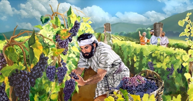 La generosidad divina: Reflexiones sobre el Evangelio seg�n San Mateo 20, 1-16a