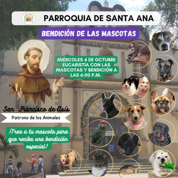 Bendici�n de las Mascotas. Mi�rcoles 4 de octubre de 2023. 