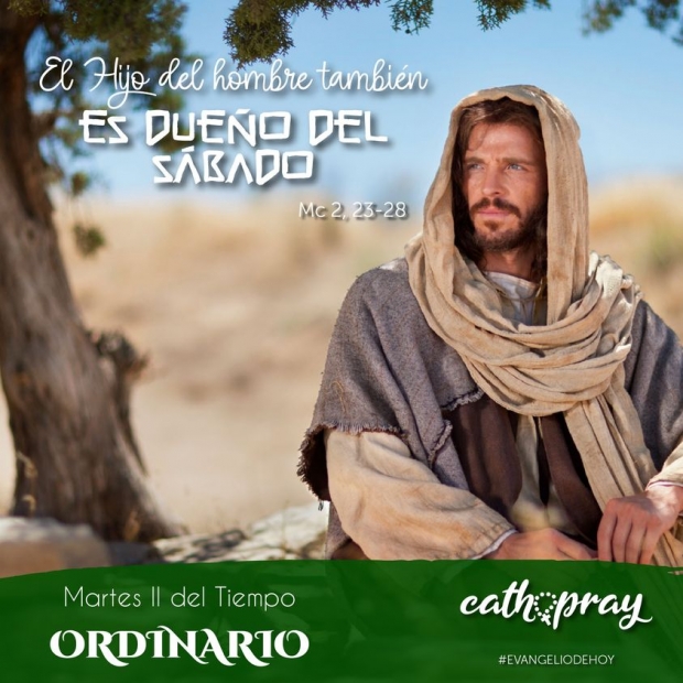 Lecciones Pr�cticas de 1 Samuel 16,1-13 y San Marcos 2, 23-28: La Elecci�n Divina y la Libertad en Cristo en el Tiempo Ordinario