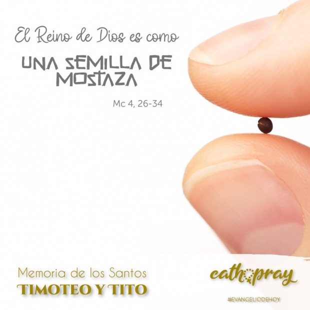Lecciones pr�cticas basadas en la segunda carta del ap�stol san Pablo a Timoteo (2 Timoteo 1,1-8) y en el Evangelio seg�n san Marcos (4,26-34), en conmemoraci�n de los Santos Timoteo y Tito, Obispos: