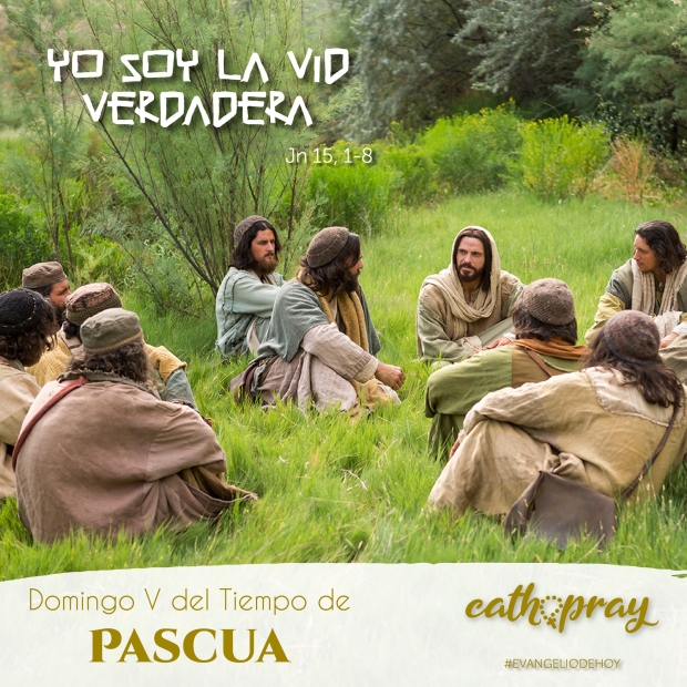 Lecciones pr�cticas. Domingo V de Pascua. Yo Soy la verdadera vid y mi Padre es el vi�ador.