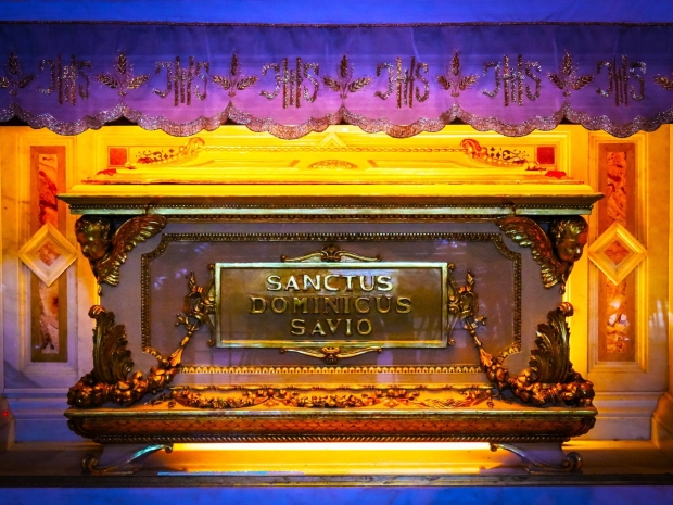 Santo Domingo Savio: Siguiendo los Pasos de San Juan Bosco.