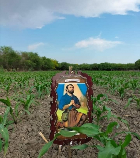 Ense�anzas pr�cticas. Mi�rcoles de la s�ptima semana de Pascua. San Isidro Labrador.