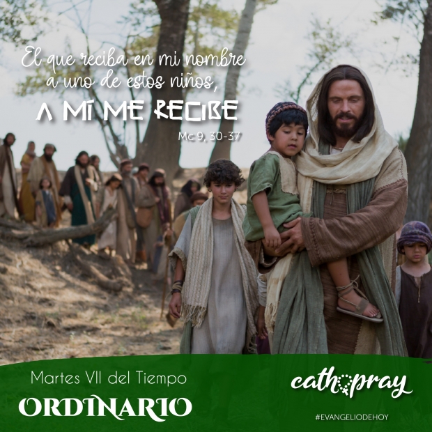 Ense�anzas pr�cticas. Martes de la s�ptima semana del Tiempo Ordinario.