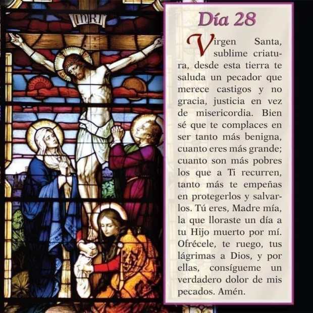 Ense�anzas pr�cticas. Liturgia de la Palabra. Martes de la octava semana del tiempo ordinario.
