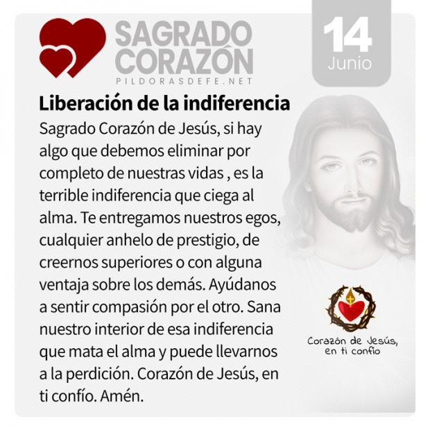 Escuchando la Voz de Dios en la Quietud: Reflexiones en la Memoria de San Eliseo