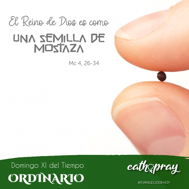 Confianza en la Providencia Divina: Ense�anzas del Domingo XI del Tiempo Ordinario