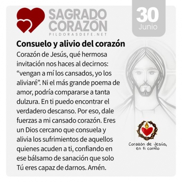 Vida, Generosidad y Fe: Reflexiones del Domingo XIII del Tiempo Ordinario