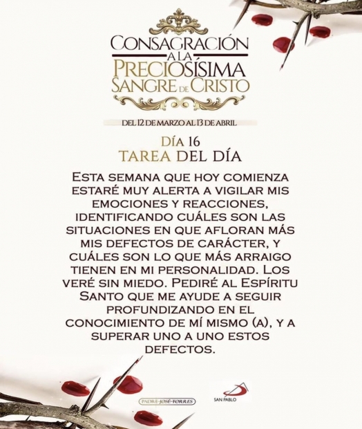 Bajo el Manto de la Virgen del Carmen: Confianza, Conversi�n y Protecci�n Divina