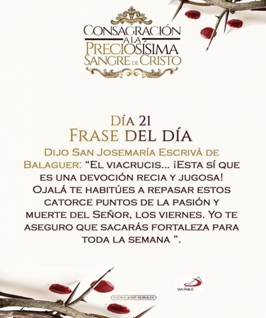 El Buen Pastor: Gu�a y Cuidado Divino en Nuestra Vida Diaria