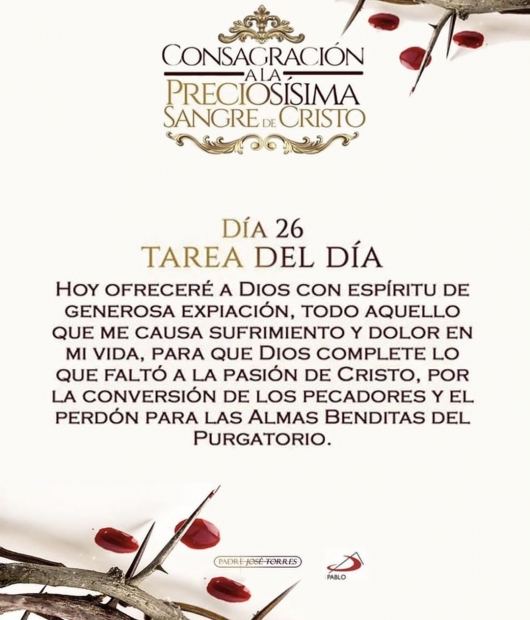 Herencia de Fe y Ejemplo de Santidad: Celebrando a los Santos Joaqu�n y Ana