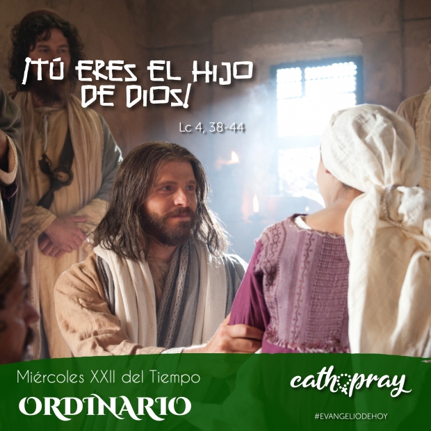 Unidos en Cristo: Caminando hacia la Santidad con Nuestra Seora de la Consolacin y Santa Rosala de Palermo