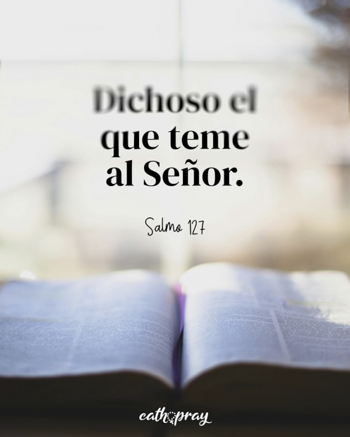 Transformados por la Gracia: Escuchar, Confiar y Servir en el Camino de Cristo