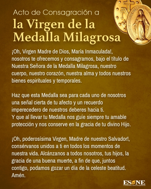La Devocin a la Virgen de la Medalla Milagrosa: Un Llamado a la Esperanza y Confianza en Mara  