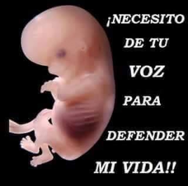 2025: Un Ao para Defender la Vida, la Familia y Caminar como Peregrinos de Esperanza