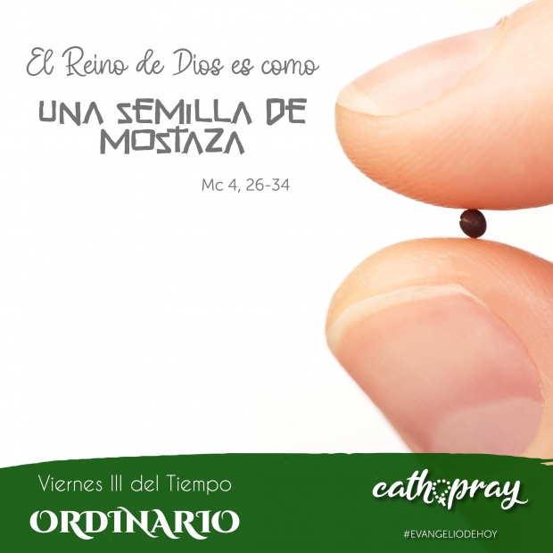 Confiar en Dios y Sembrar el Bien: La Leccin de San Juan Bosco