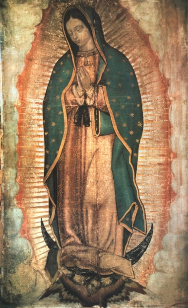 Flores a Mara  Da 12 de mayo  Advocacin mariana del da: Nuestra Seora de Guadalupe