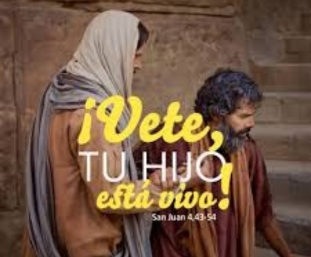 Reflexion