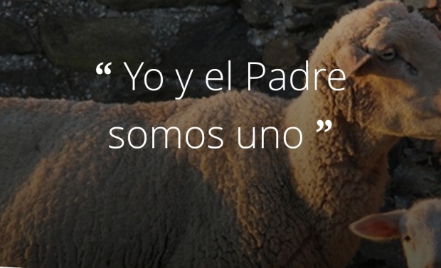 Reflexion