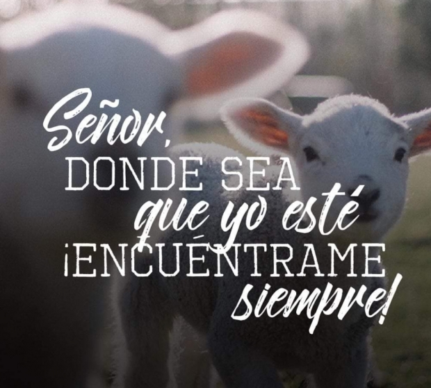 Reflexion