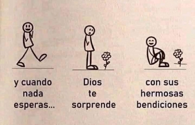 Reflexion