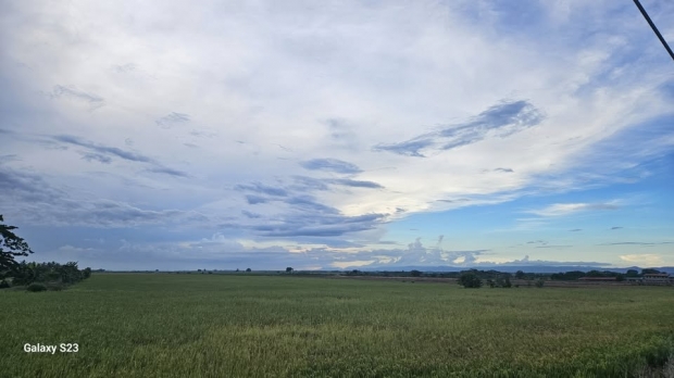  ORACIN DE LA NOCHE: Mircoles, 8 de octubre del 2025