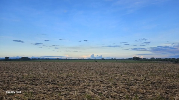  ORACIN DE LA NOCHE: Jueves, 9 de octubre del 2025