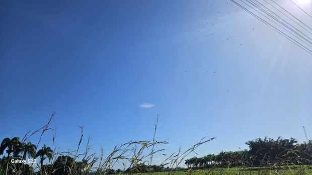 ORACIN DE LA NOCHE: Sbado, 11 de octubre del 2025