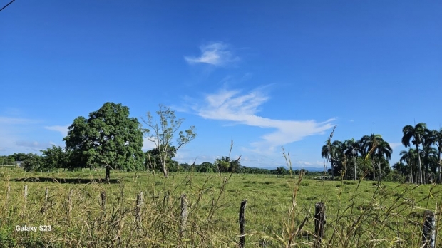 ORACIN DE LA NOCHE: Martes, 14 de octubre del 2025