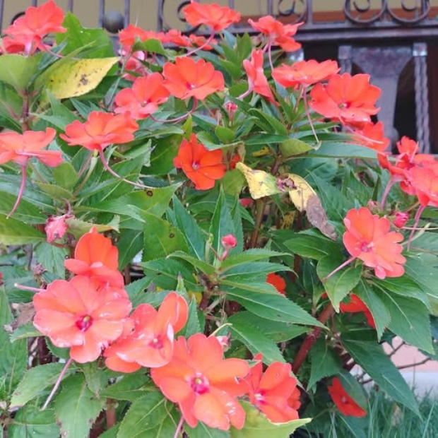 ORACIN DE LA NOCHE: Sbado, 1 de noviembre del 2025