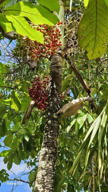 ORACIN DE LA NOCHE: Jueves, 20 de noviembre del 2025