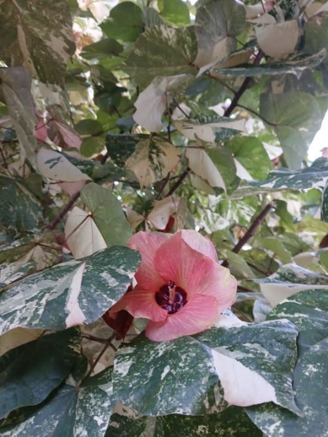 ORACI�N DE LA NOCHE: S�bado, 27 de diciembre del 2025