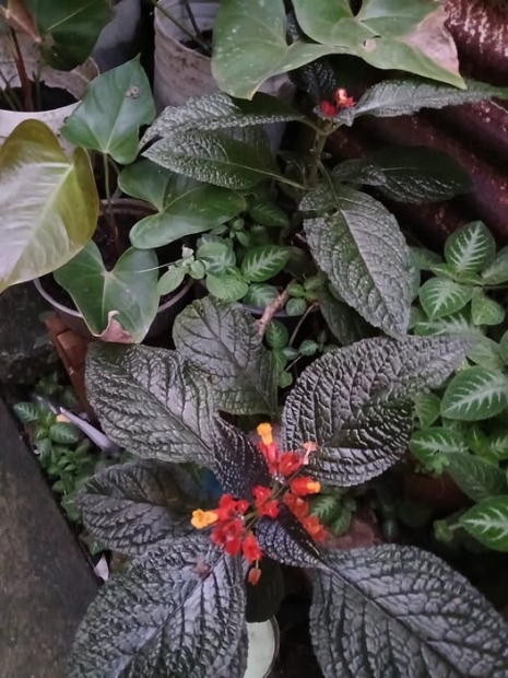 ORACI�N DE LA NOCHE: Domingo, 28 de diciembre del 2025