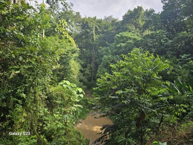 ORACI�N DE LA NOCHE: Jueves, 5 de febrero del 2026