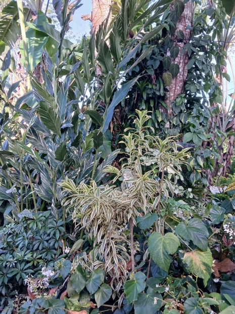 ORACI�N DE LA NOCHE: Domingo, 29 de marzo del 2026